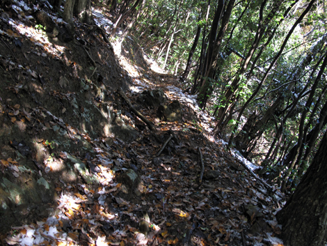 20161125hike (26)